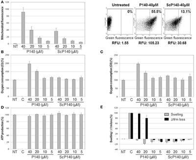 The Mitochondrion-lysosome Axis in Adaptive and Innate Immunity: Effect of Lupus Regulator Peptide P140 on Mitochondria Autophagy and NETosis